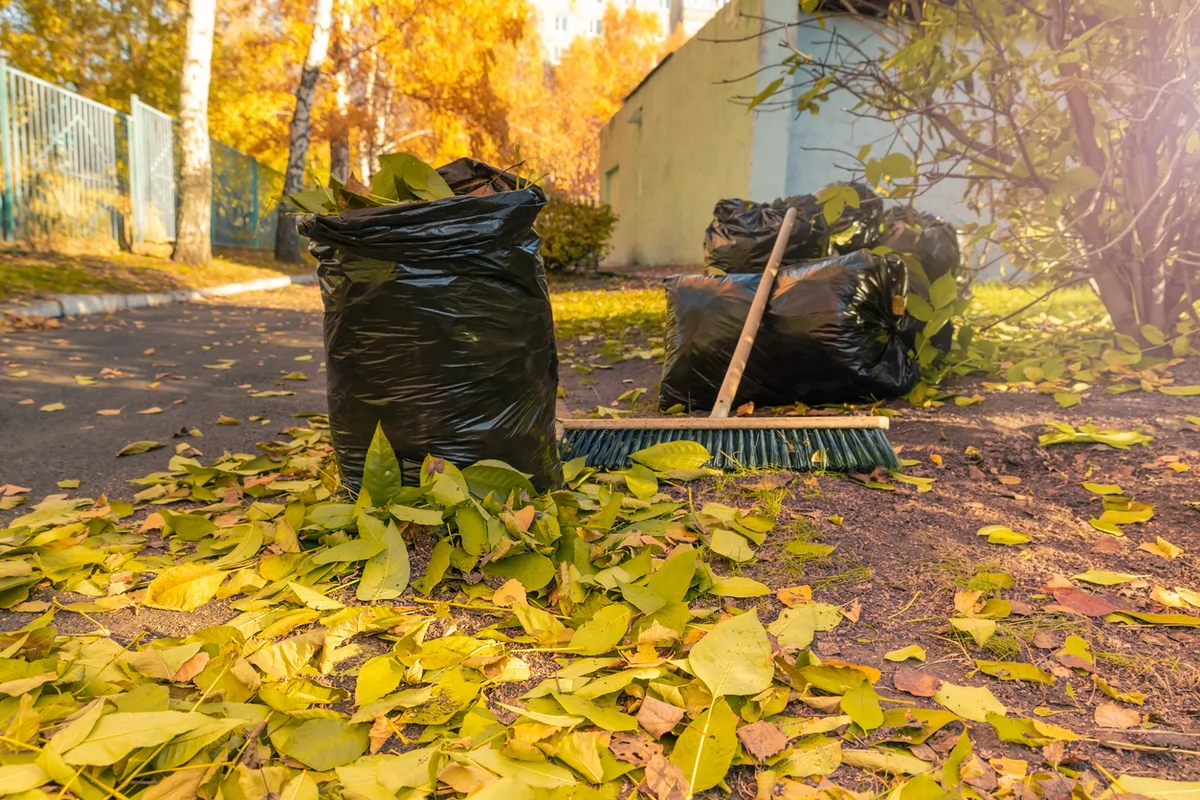 Yard clean up and junk removal service in Filer, ID for homeowners