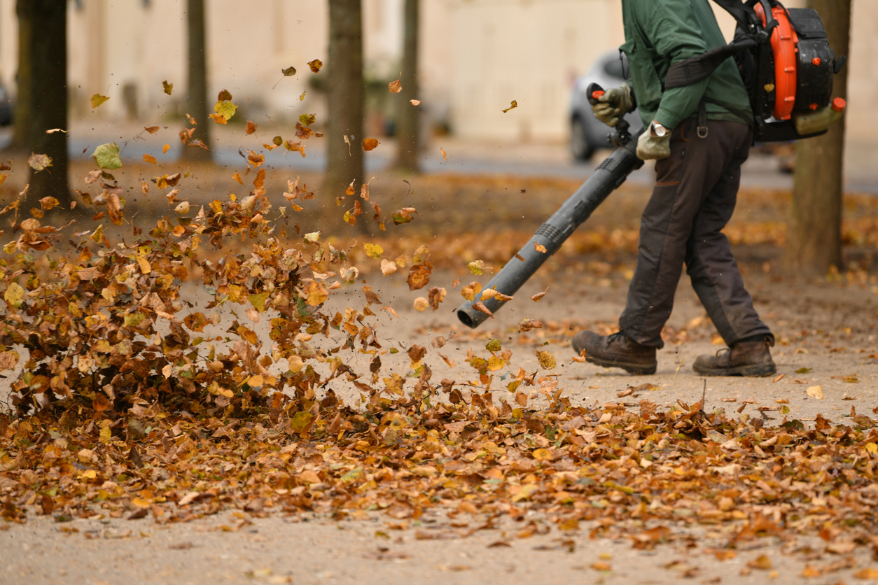 Yard clean up and junk removal service in Jerome, ID for homeowners