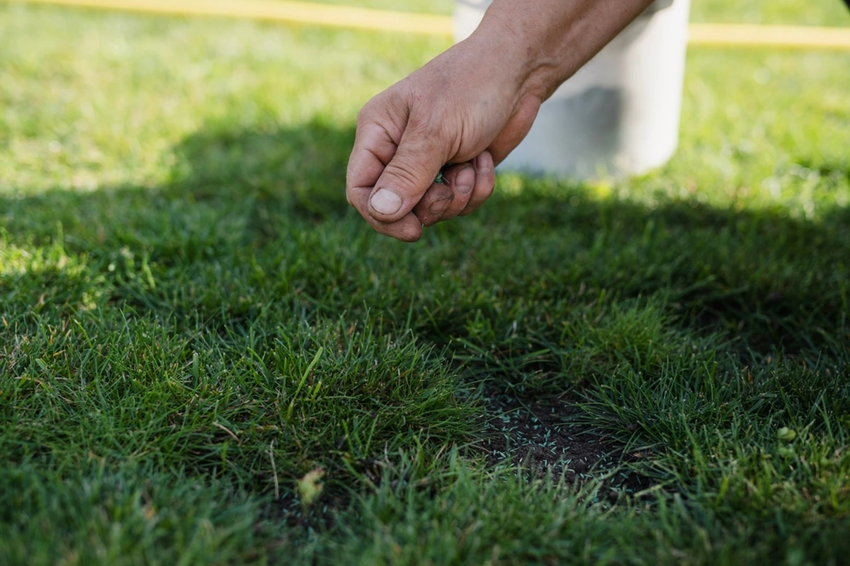 Professional lawn care services in Berger, ID for healthy, green yards