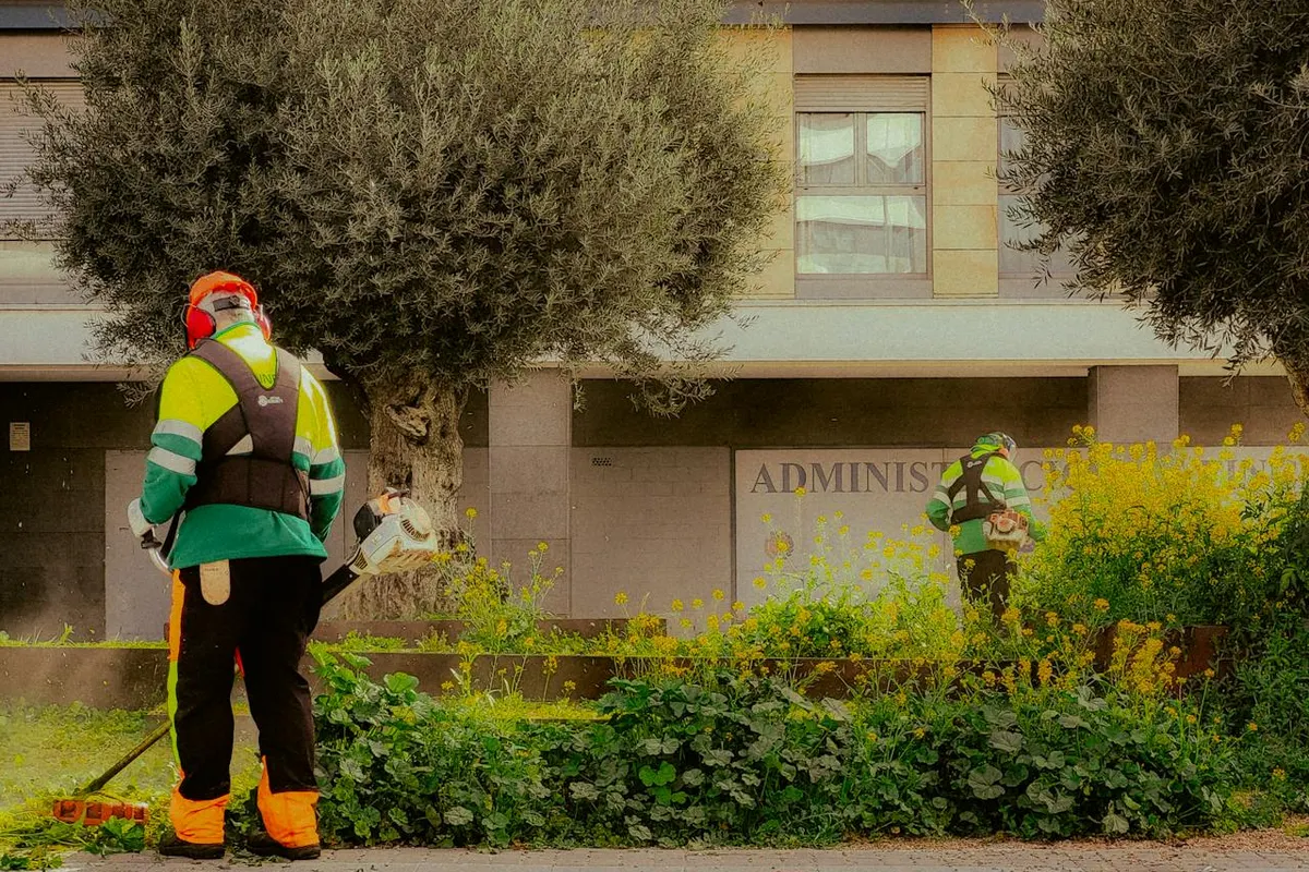 Professional commercial landscaping services in Murtaugh, ID for businesses and property owners.